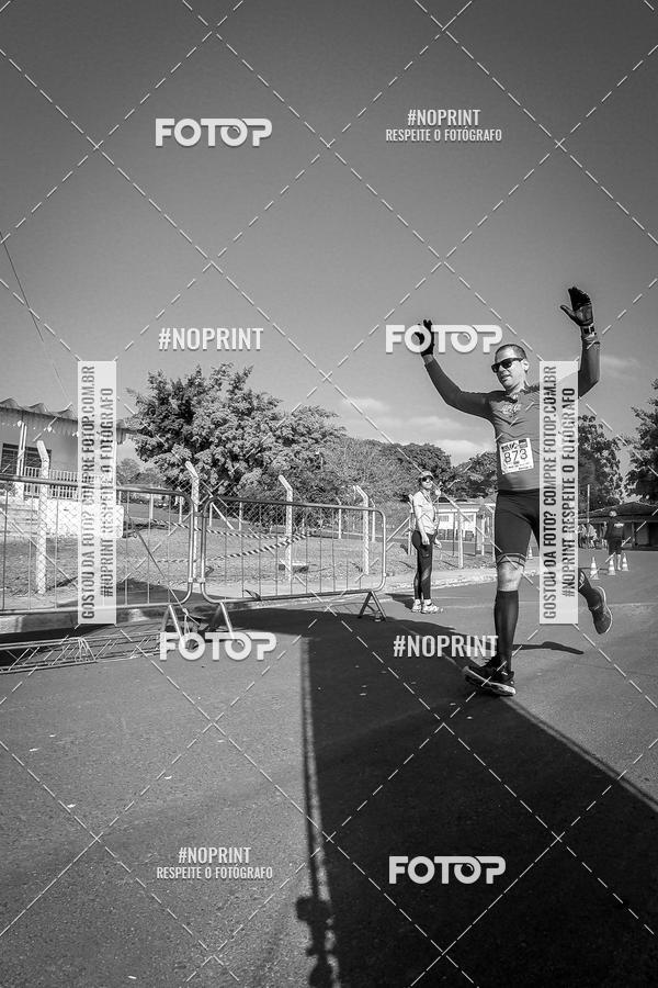 Buy your photos of the eventWolf Series - Botucatu on Fotop