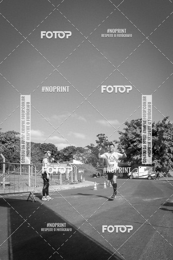 Buy your photos of the eventWolf Series - Botucatu on Fotop