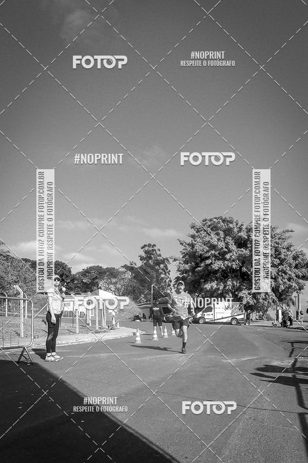 Buy your photos of the eventWolf Series - Botucatu on Fotop