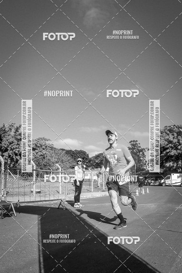 Buy your photos of the eventWolf Series - Botucatu on Fotop