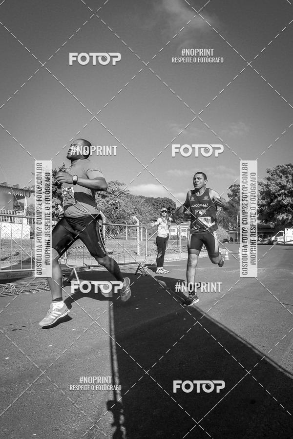 Buy your photos of the eventWolf Series - Botucatu on Fotop