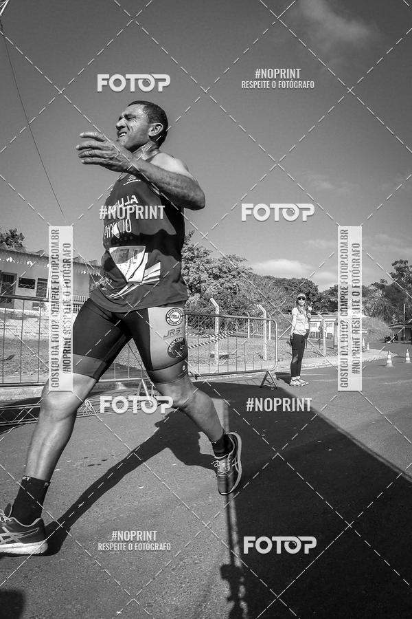 Buy your photos of the eventWolf Series - Botucatu on Fotop