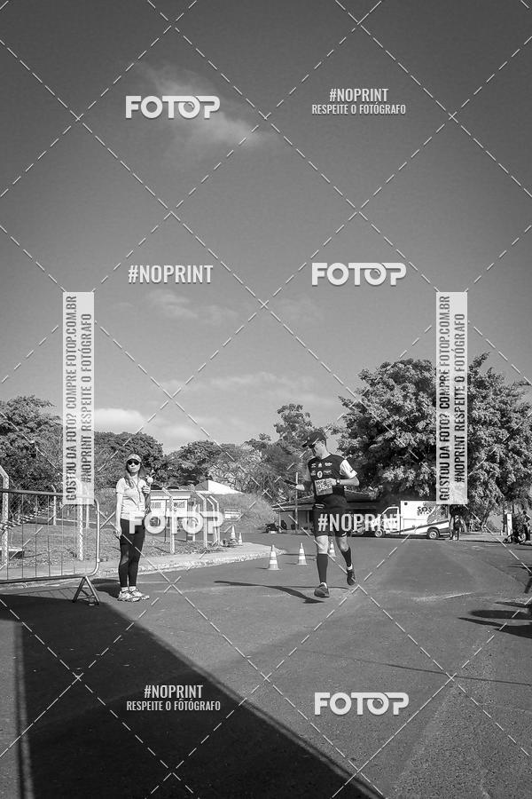 Buy your photos of the eventWolf Series - Botucatu on Fotop