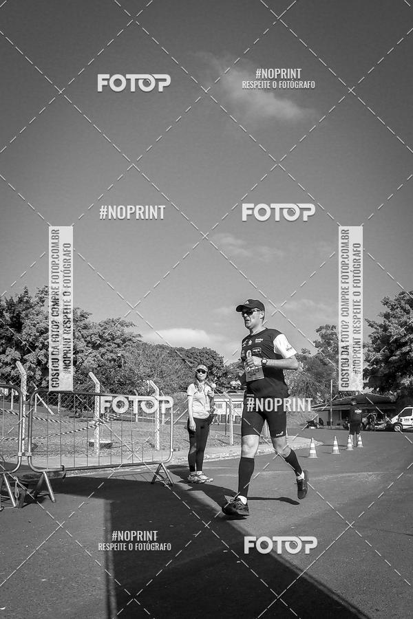 Buy your photos of the eventWolf Series - Botucatu on Fotop