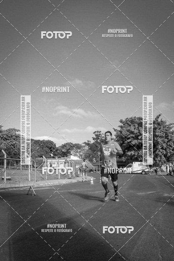 Buy your photos of the eventWolf Series - Botucatu on Fotop