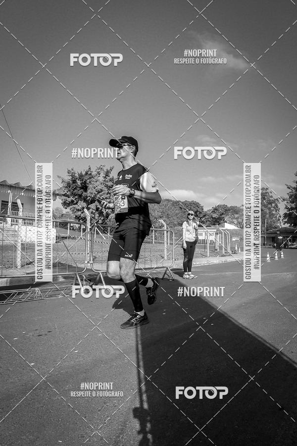 Buy your photos of the eventWolf Series - Botucatu on Fotop