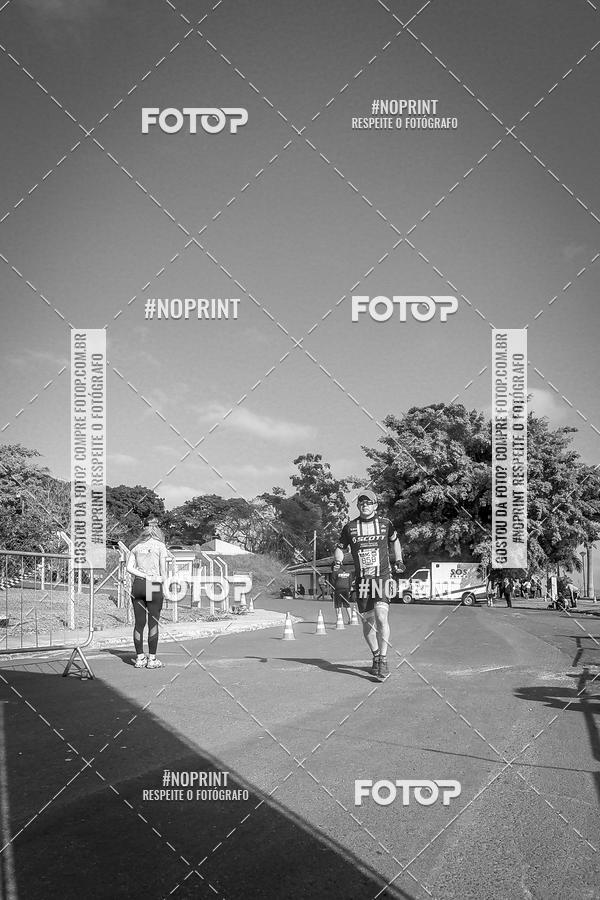 Buy your photos of the eventWolf Series - Botucatu on Fotop