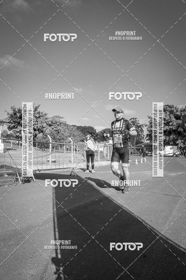 Buy your photos of the eventWolf Series - Botucatu on Fotop