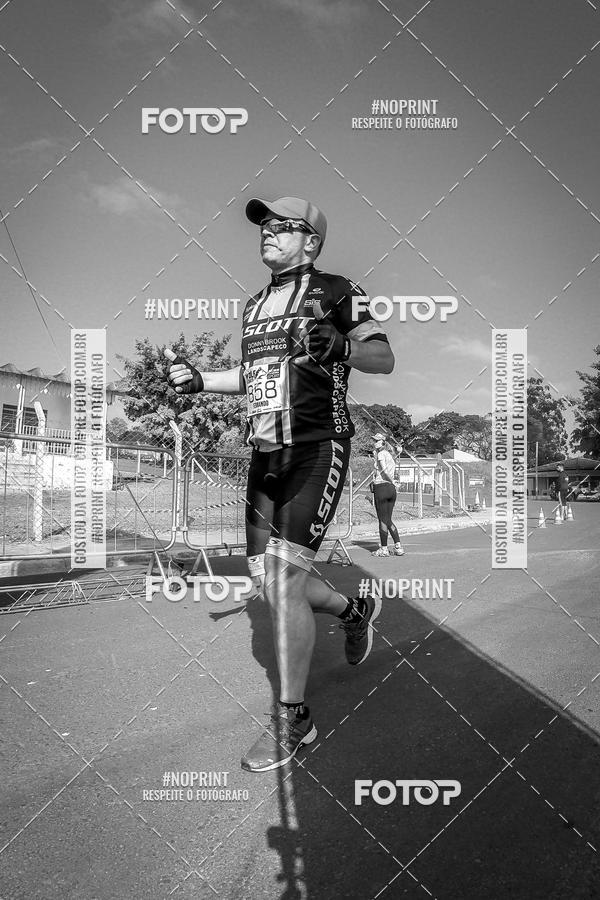 Buy your photos of the eventWolf Series - Botucatu on Fotop