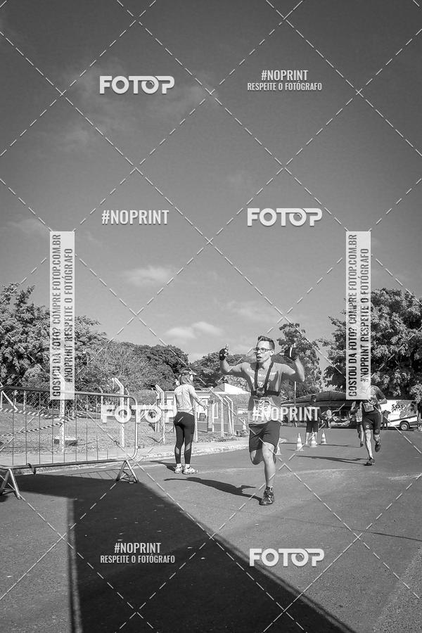 Buy your photos of the eventWolf Series - Botucatu on Fotop