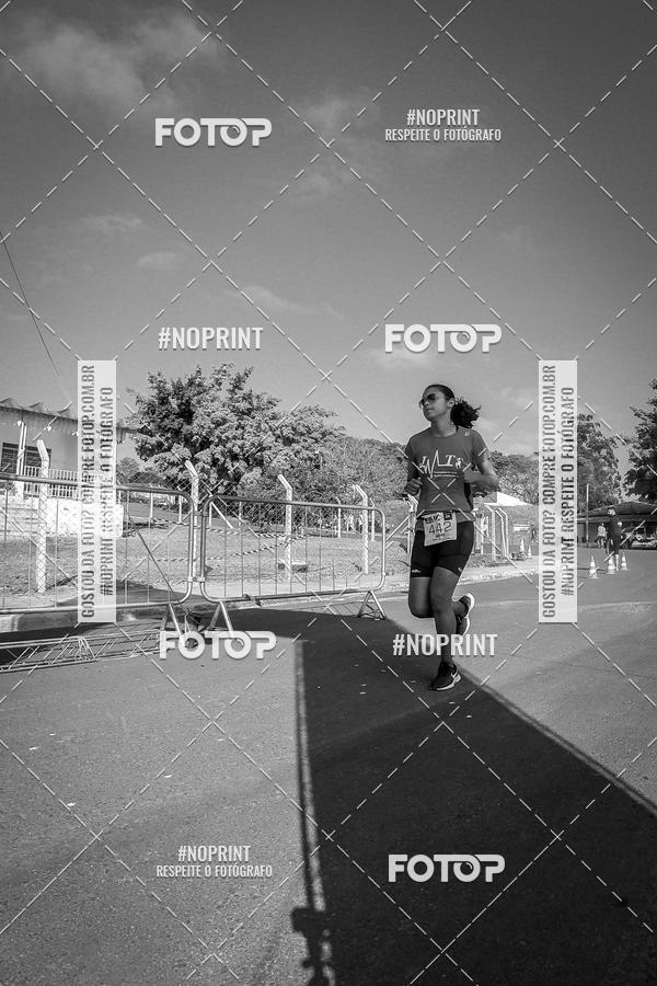 Buy your photos of the eventWolf Series - Botucatu on Fotop