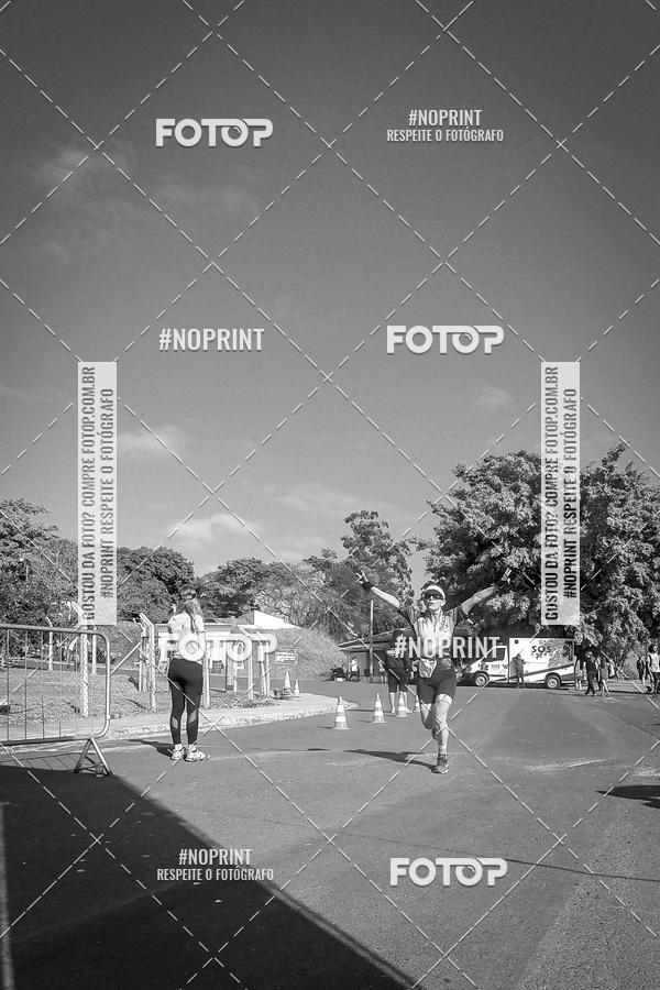 Buy your photos of the eventWolf Series - Botucatu on Fotop