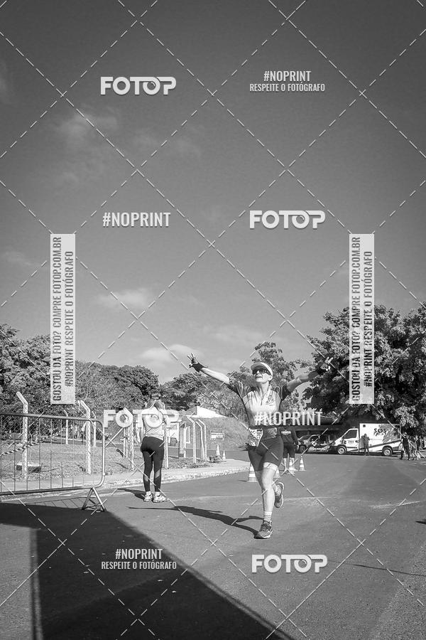 Buy your photos of the eventWolf Series - Botucatu on Fotop