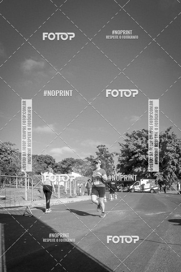 Buy your photos of the eventWolf Series - Botucatu on Fotop