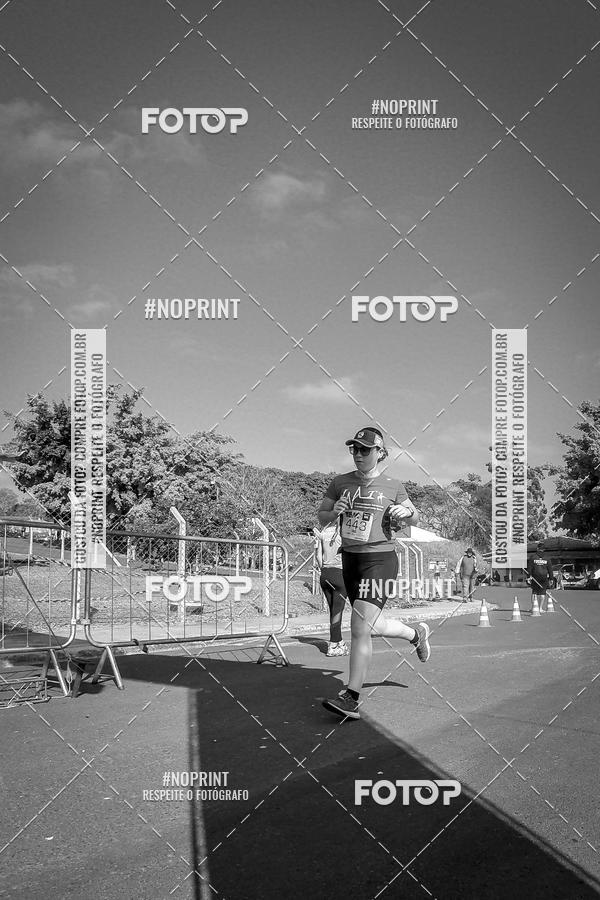 Buy your photos of the eventWolf Series - Botucatu on Fotop