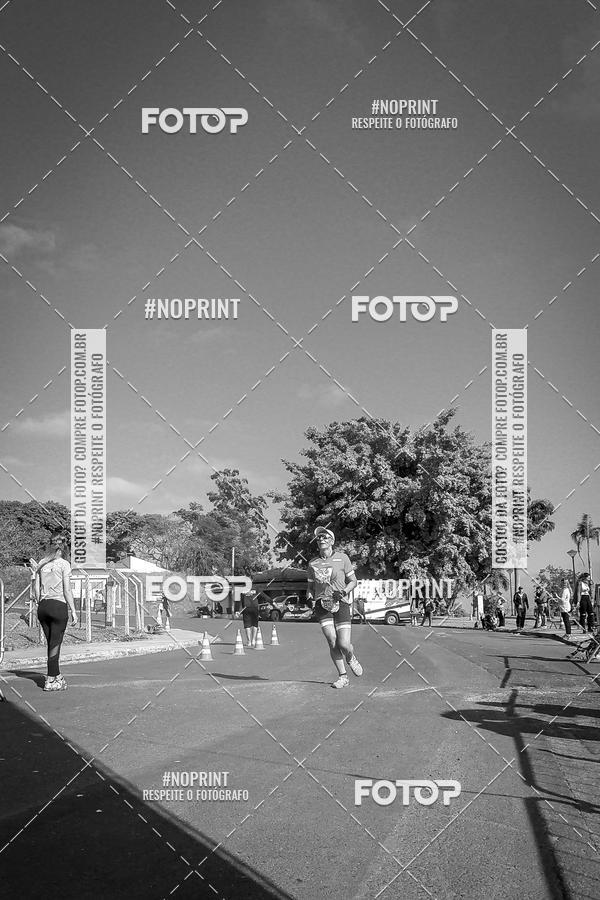 Buy your photos of the eventWolf Series - Botucatu on Fotop