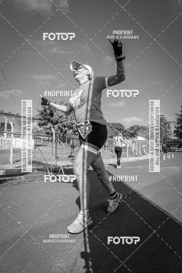 Buy your photos of the eventWolf Series - Botucatu on Fotop