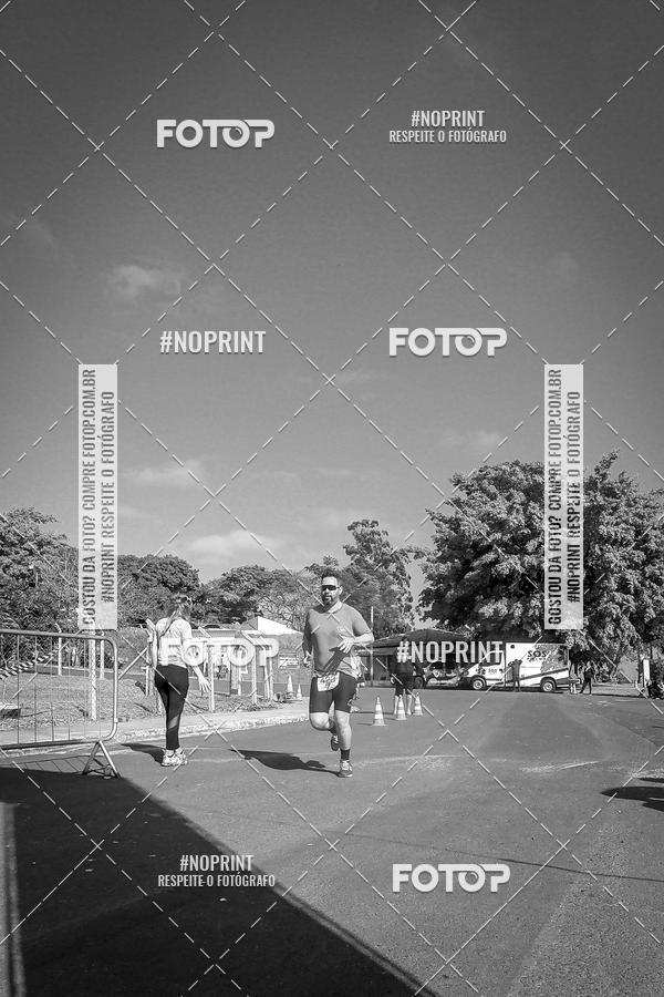Buy your photos of the eventWolf Series - Botucatu on Fotop