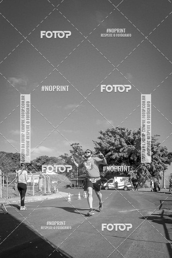 Buy your photos of the eventWolf Series - Botucatu on Fotop