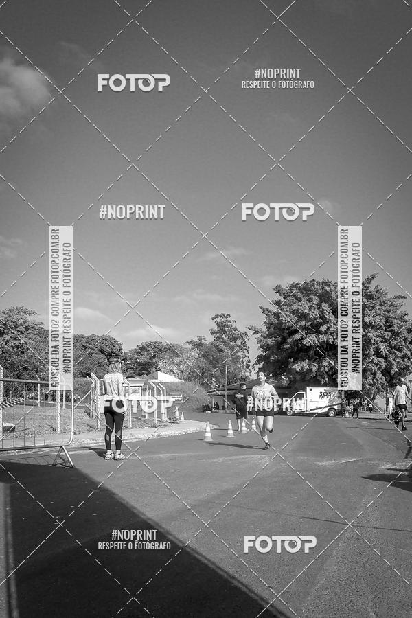 Buy your photos of the eventWolf Series - Botucatu on Fotop