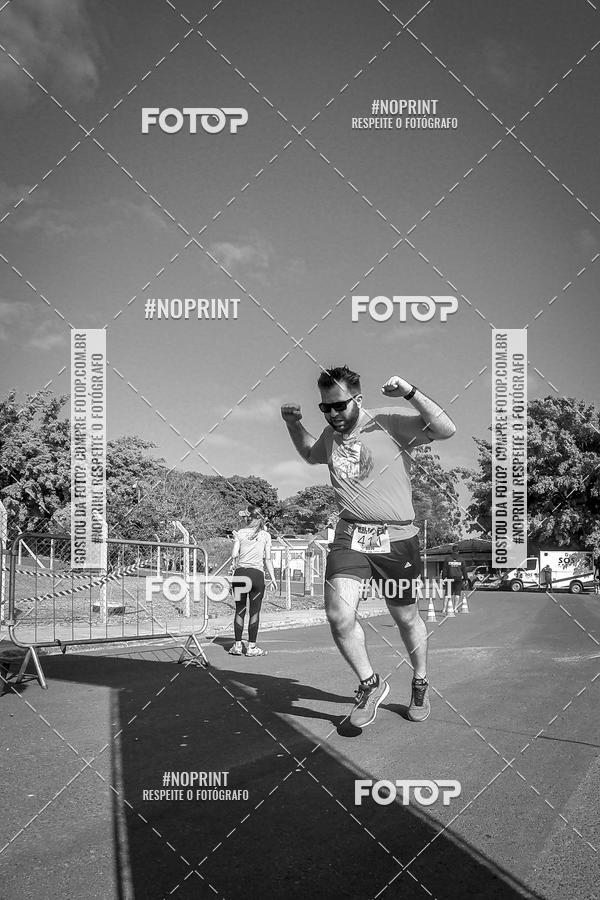 Buy your photos of the eventWolf Series - Botucatu on Fotop