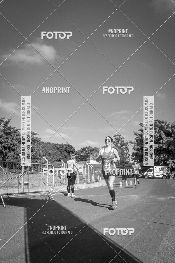 Buy your photos of the eventWolf Series - Botucatu on Fotop