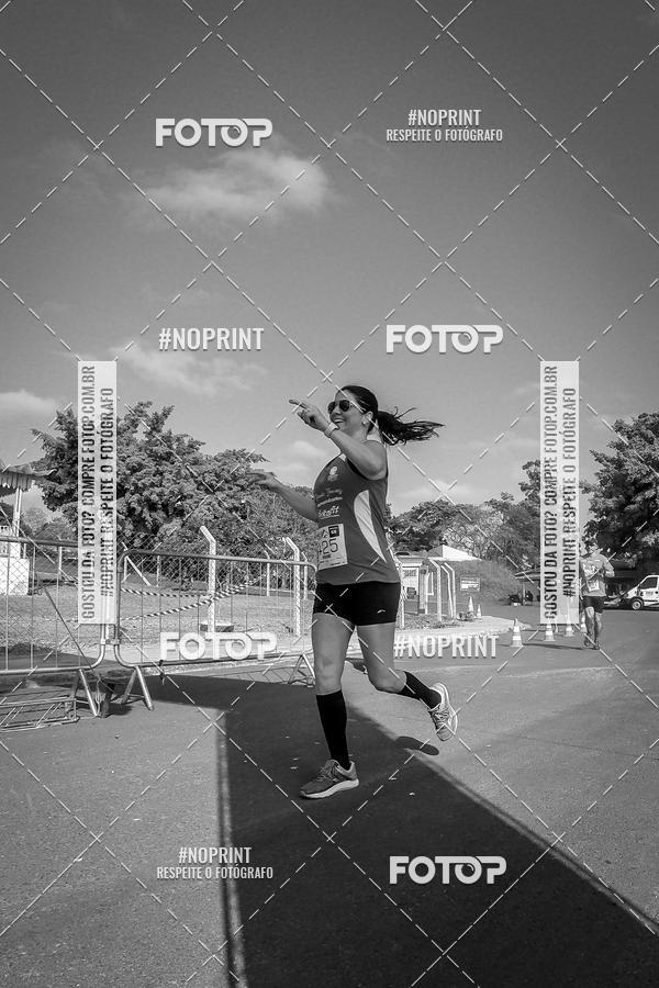 Buy your photos of the eventWolf Series - Botucatu on Fotop