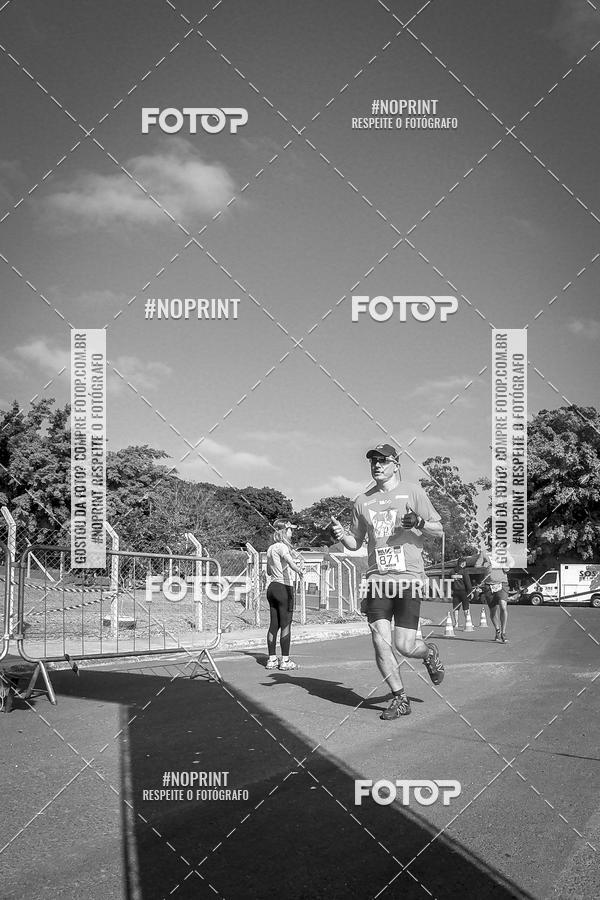 Buy your photos of the eventWolf Series - Botucatu on Fotop