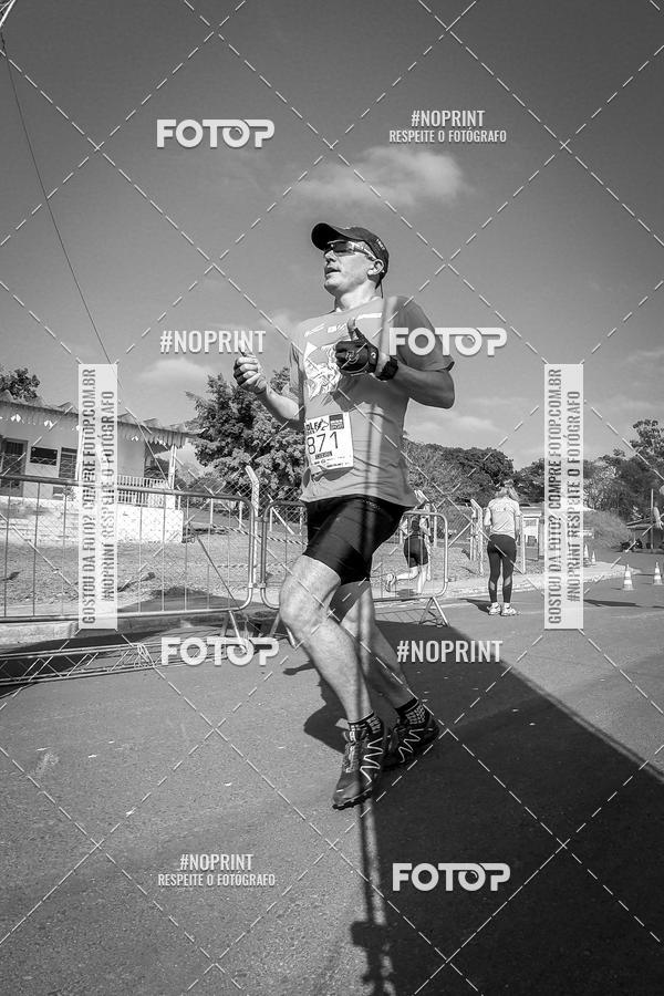 Buy your photos of the eventWolf Series - Botucatu on Fotop