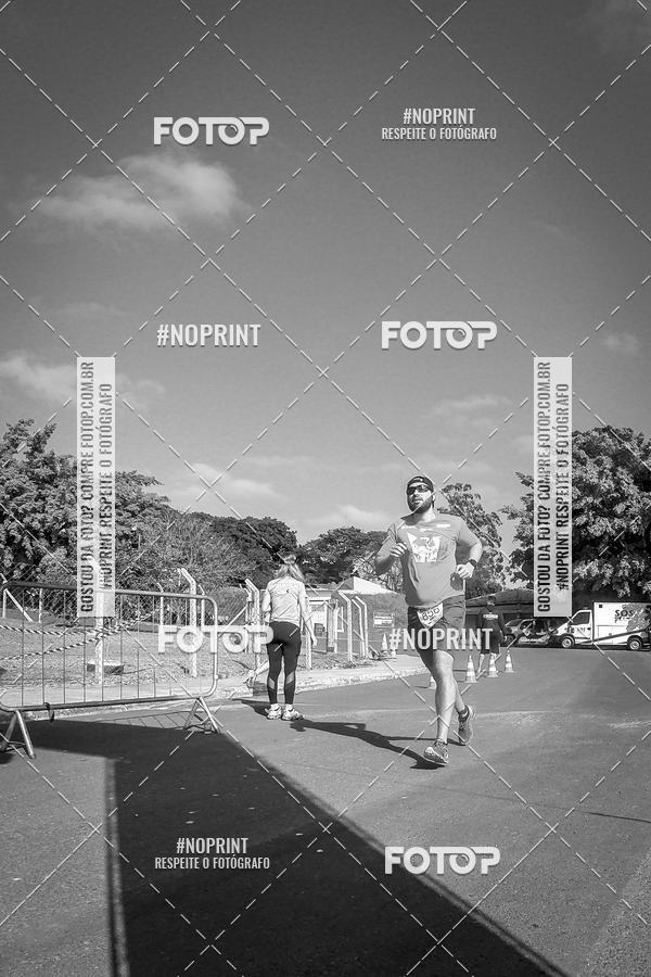 Buy your photos of the eventWolf Series - Botucatu on Fotop