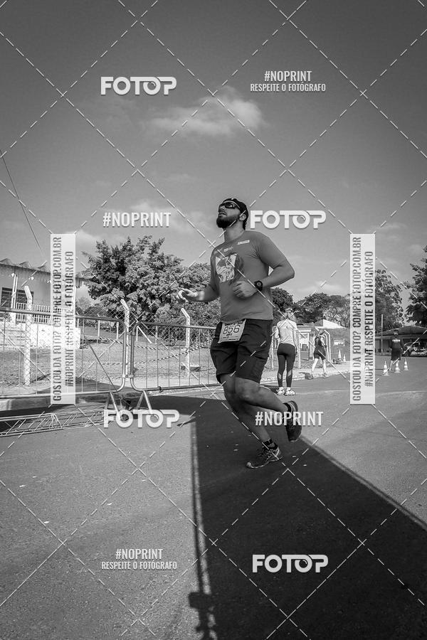 Buy your photos of the eventWolf Series - Botucatu on Fotop