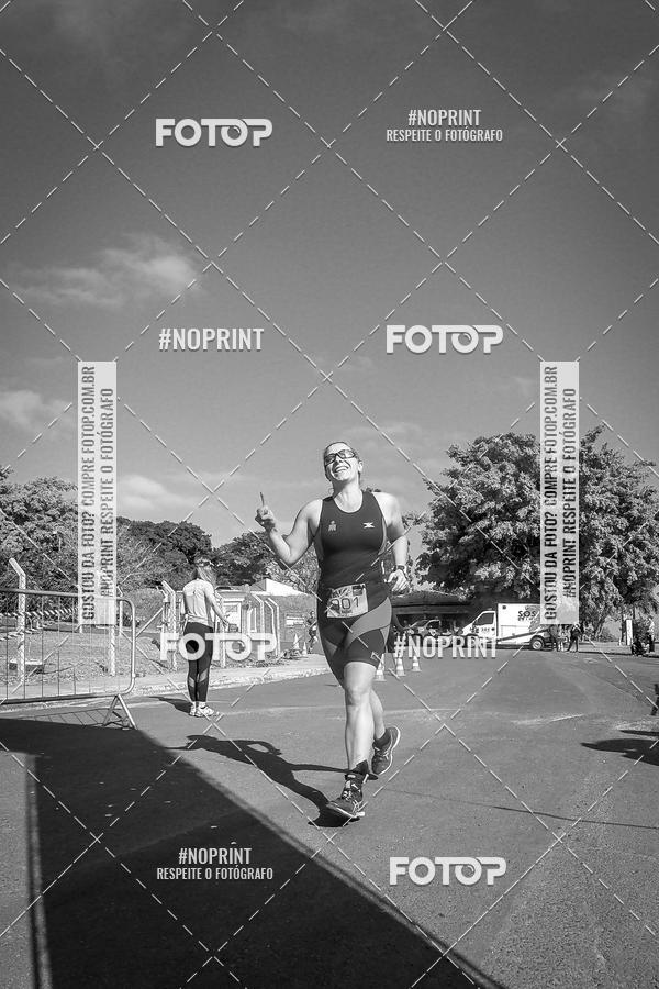 Buy your photos of the eventWolf Series - Botucatu on Fotop