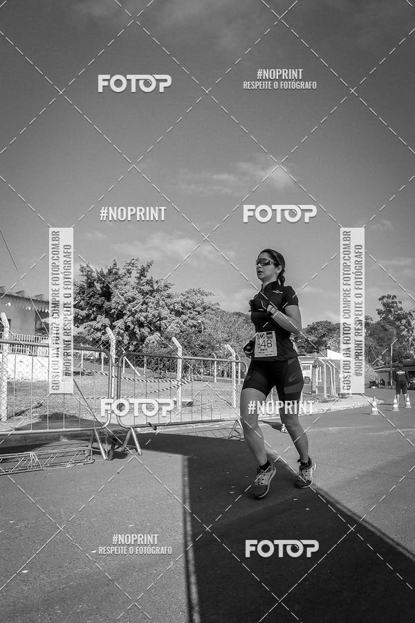 Buy your photos of the eventWolf Series - Botucatu on Fotop