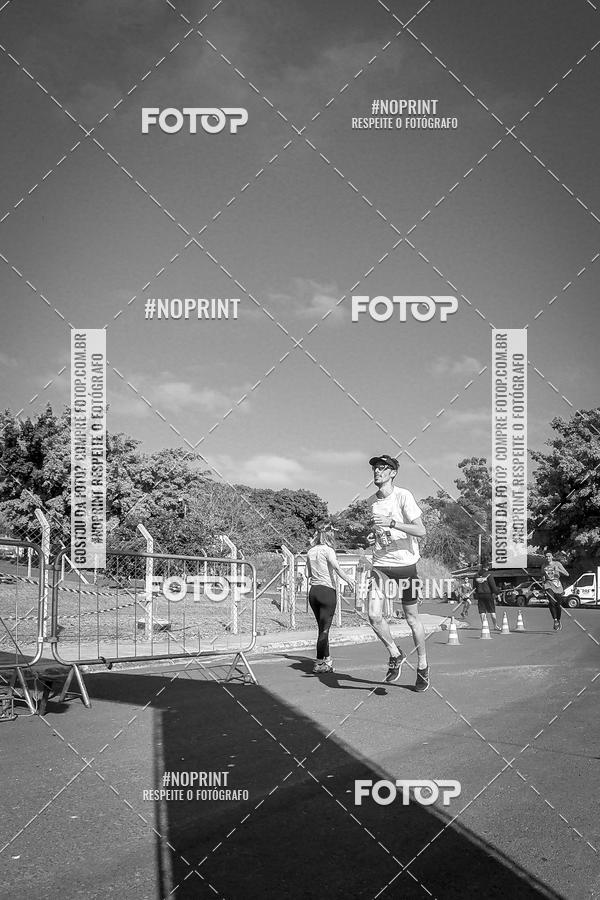 Buy your photos of the eventWolf Series - Botucatu on Fotop