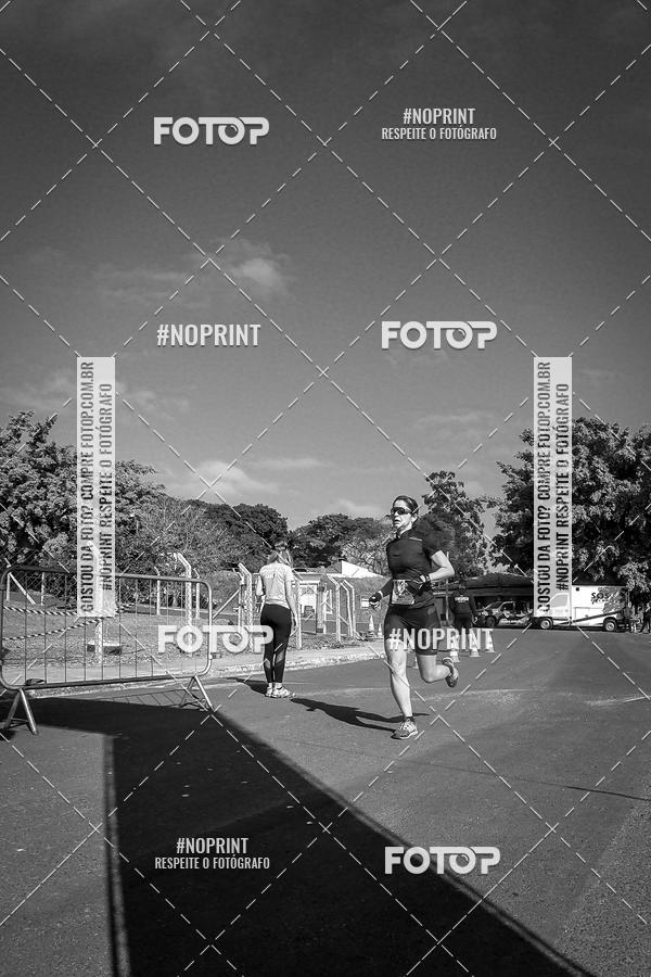 Buy your photos of the eventWolf Series - Botucatu on Fotop