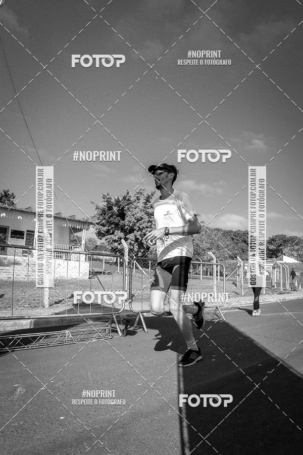 Buy your photos of the eventWolf Series - Botucatu on Fotop