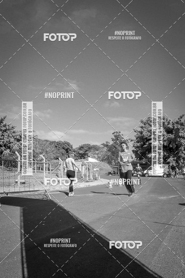 Buy your photos of the eventWolf Series - Botucatu on Fotop