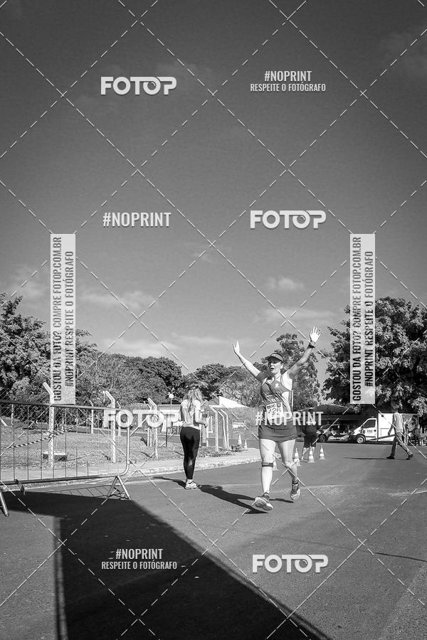 Buy your photos of the eventWolf Series - Botucatu on Fotop