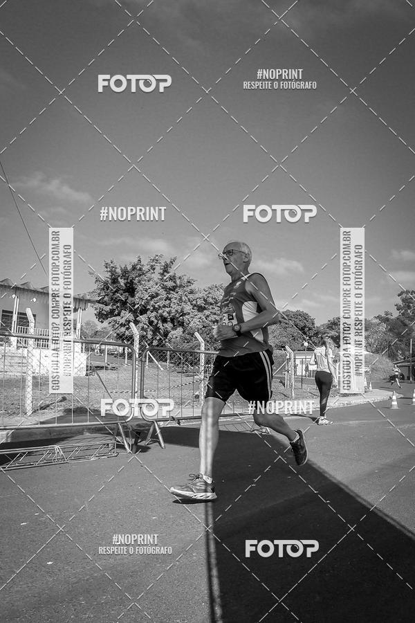 Buy your photos of the eventWolf Series - Botucatu on Fotop