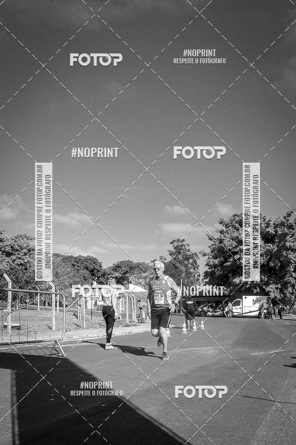 Buy your photos of the eventWolf Series - Botucatu on Fotop