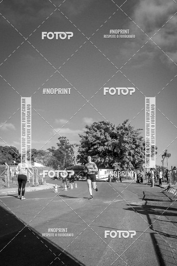 Buy your photos of the eventWolf Series - Botucatu on Fotop
