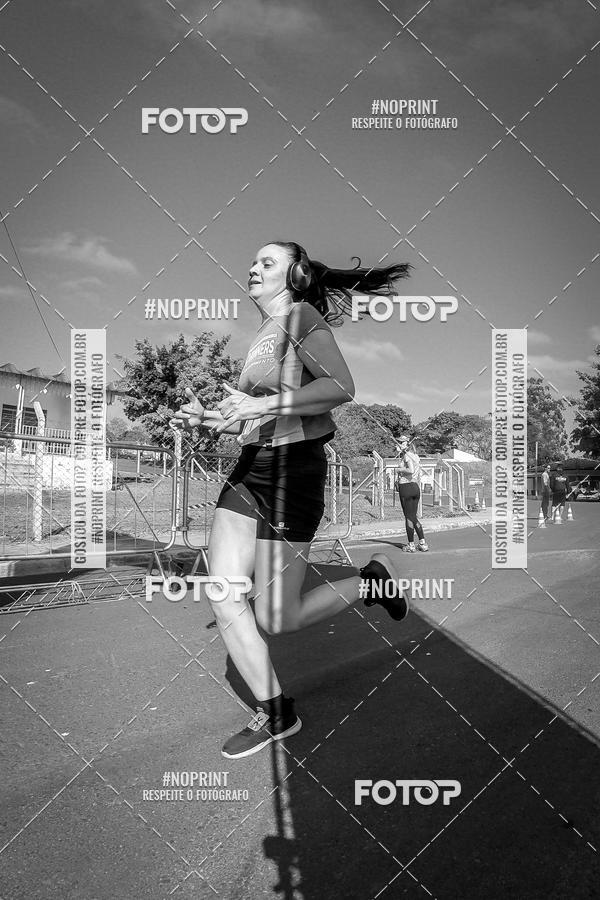 Buy your photos of the eventWolf Series - Botucatu on Fotop