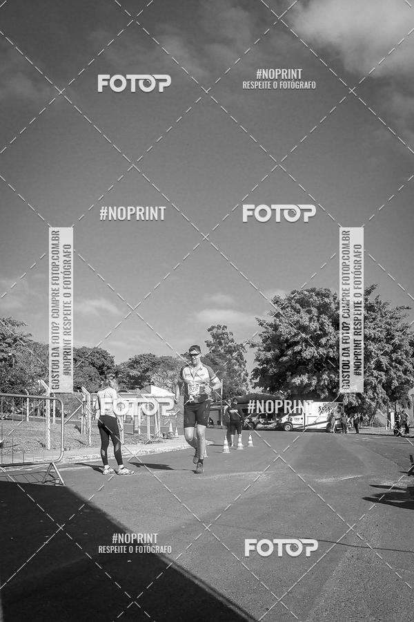 Buy your photos of the eventWolf Series - Botucatu on Fotop