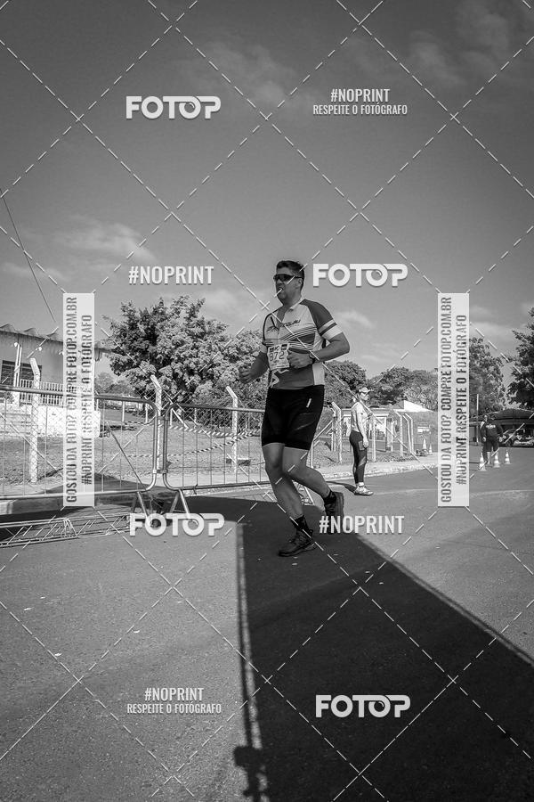 Buy your photos of the eventWolf Series - Botucatu on Fotop