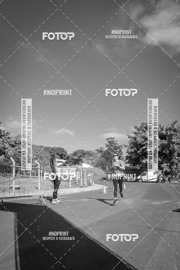 Buy your photos of the eventWolf Series - Botucatu on Fotop
