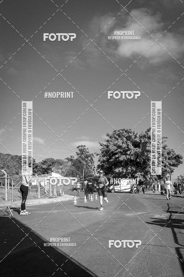 Buy your photos of the eventWolf Series - Botucatu on Fotop