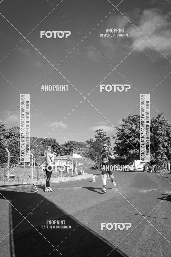 Buy your photos of the eventWolf Series - Botucatu on Fotop