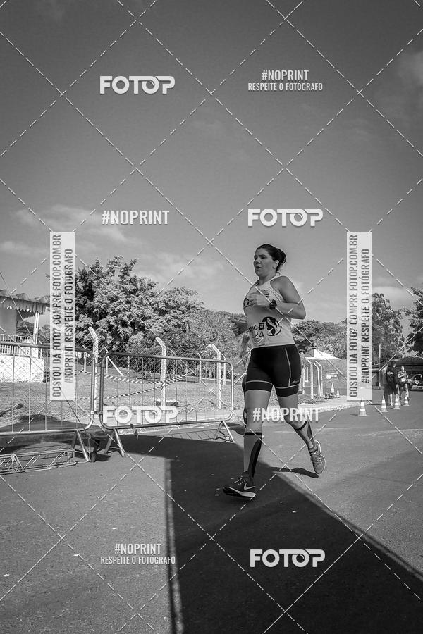 Buy your photos of the eventWolf Series - Botucatu on Fotop