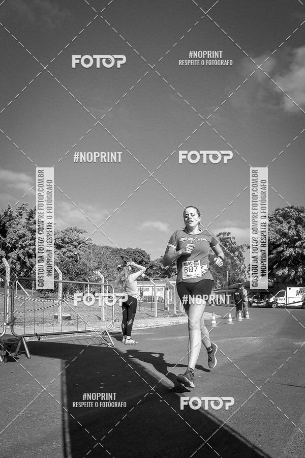 Buy your photos of the eventWolf Series - Botucatu on Fotop