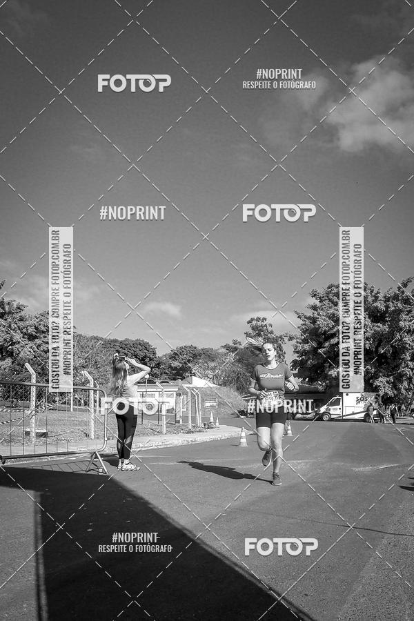 Buy your photos of the eventWolf Series - Botucatu on Fotop